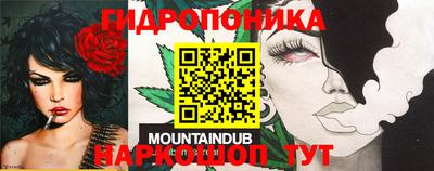 бошки Ликино-Дулёво