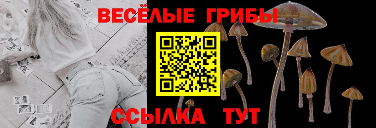 Галлюциногенные грибы мухоморы  Псилоцибиновые грибы прущие грибы  Вход с VPN  Бугуруслан 